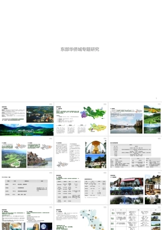 1225东部华侨城专题案例研究