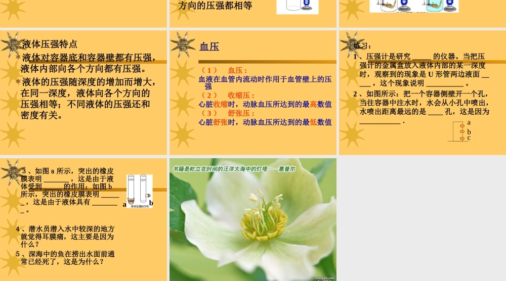 液体的压强 课件示例 课件