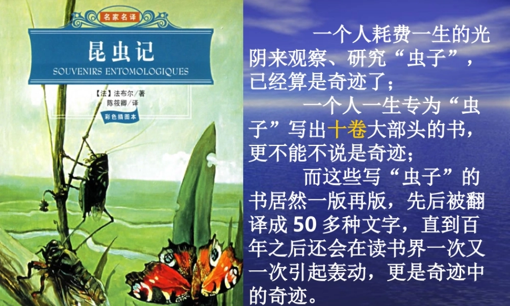 昆虫记复习定-副本