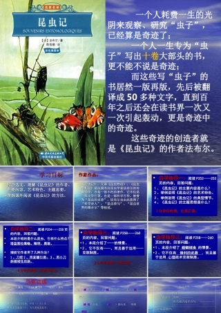 昆虫记复习定-副本