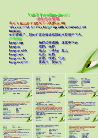 高考英语一轮复习 Unit-5 Travelling abroad课件 新人教版选修7 课件