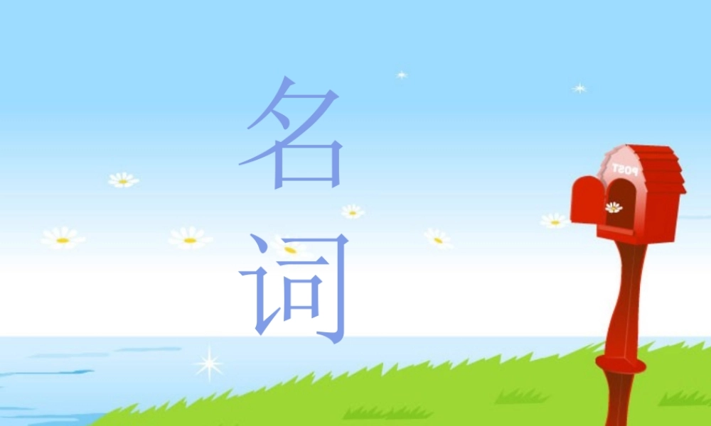 高考英语语法复习名词课件