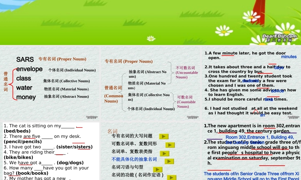 高考英语语法复习名词课件