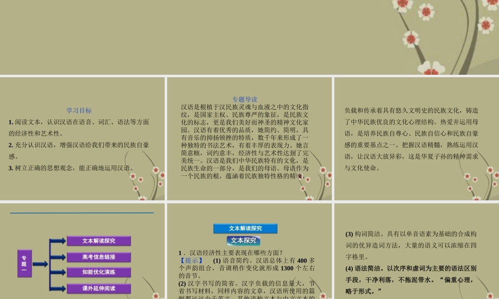 高中语文 专题一 汉语的经济性和艺术性课件 苏教版选修(语言规范与创新) 课件