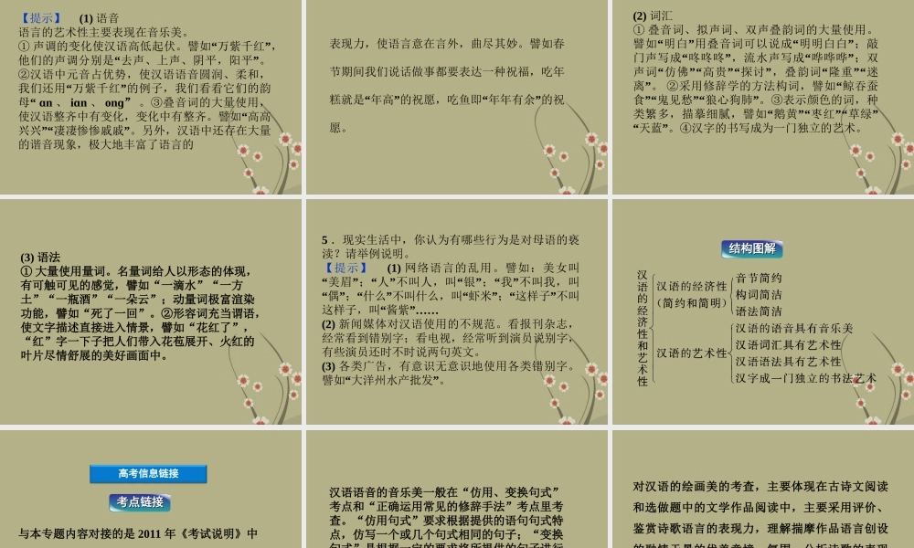 高中语文 专题一 汉语的经济性和艺术性课件 苏教版选修(语言规范与创新) 课件