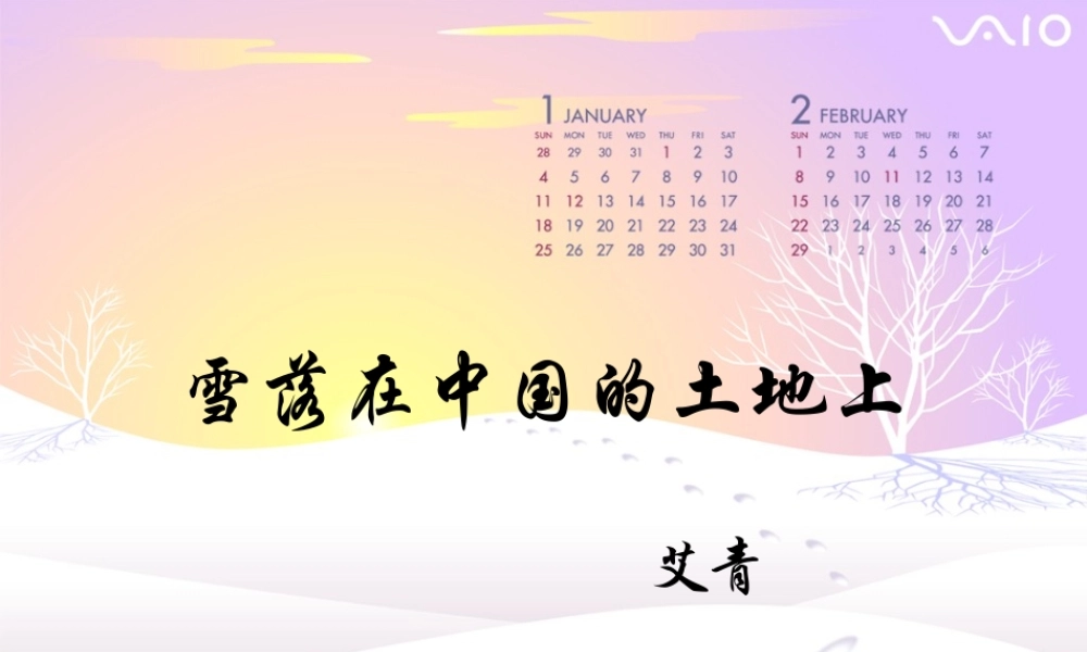 高中语文(雪落在中国的土地上)课件 粤教版 课件