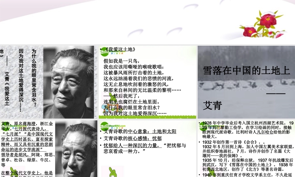 高中语文(雪落在中国的土地上)课件 粤教版 课件