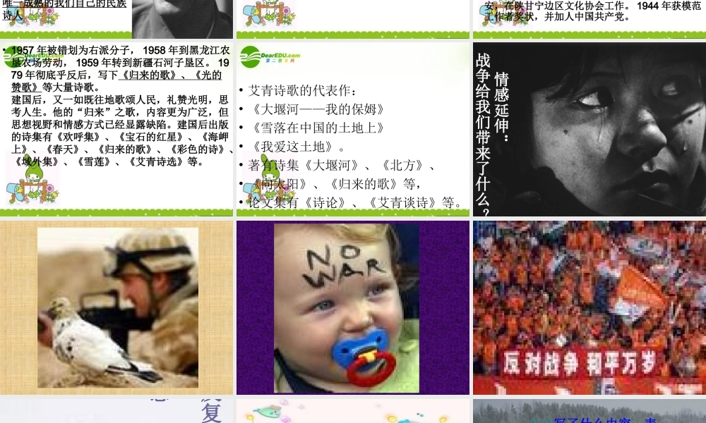 高中语文(雪落在中国的土地上)课件 粤教版 课件