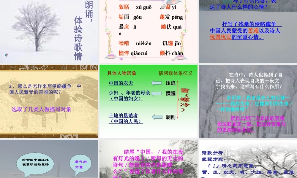 高中语文(雪落在中国的土地上)课件 粤教版 课件