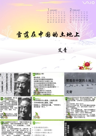 高中语文(雪落在中国的土地上)课件 粤教版 课件