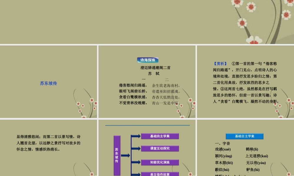 高中语文 专题五苏东坡传课件 苏教版选修(传记选读) 课件