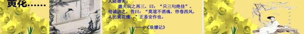 高中语文(醉花阴 薄雾浓云愁永昼)课件 新人教版必修4 课件