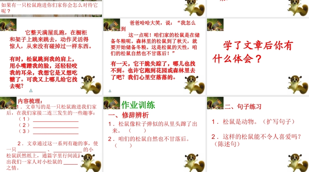 跑进家的松鼠PPT