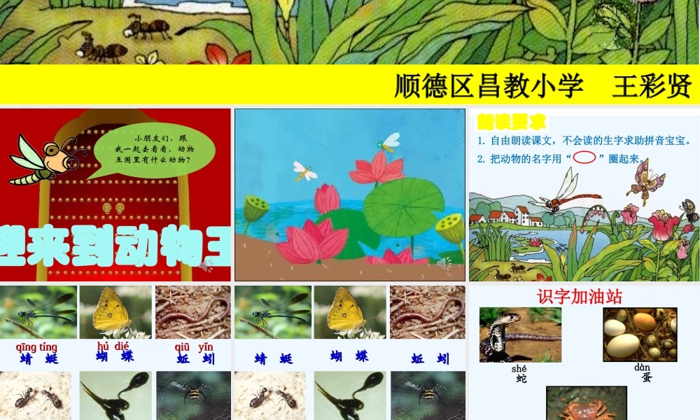 (部编)人教语文2011课标版一年级下册《动物儿歌》ppt