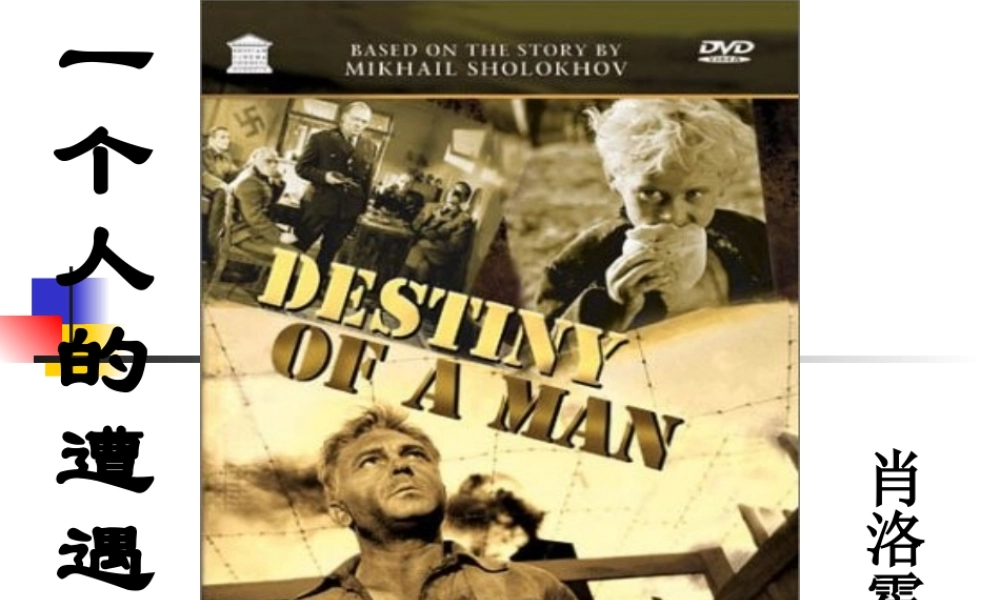 高中语文：(一个人的遭遇)(苏教版必修2)课件之一 课件