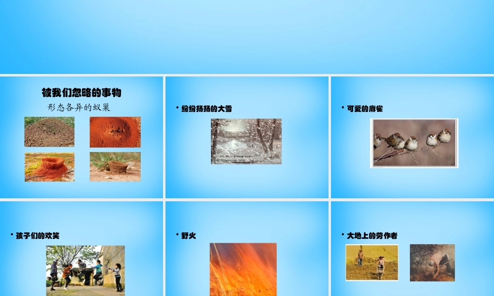 高中语文第12课大地上的事情课件北师大版必修1 课件