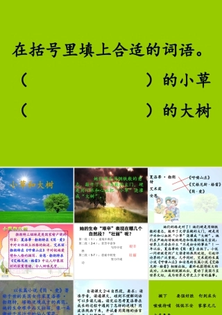 小草和大树2