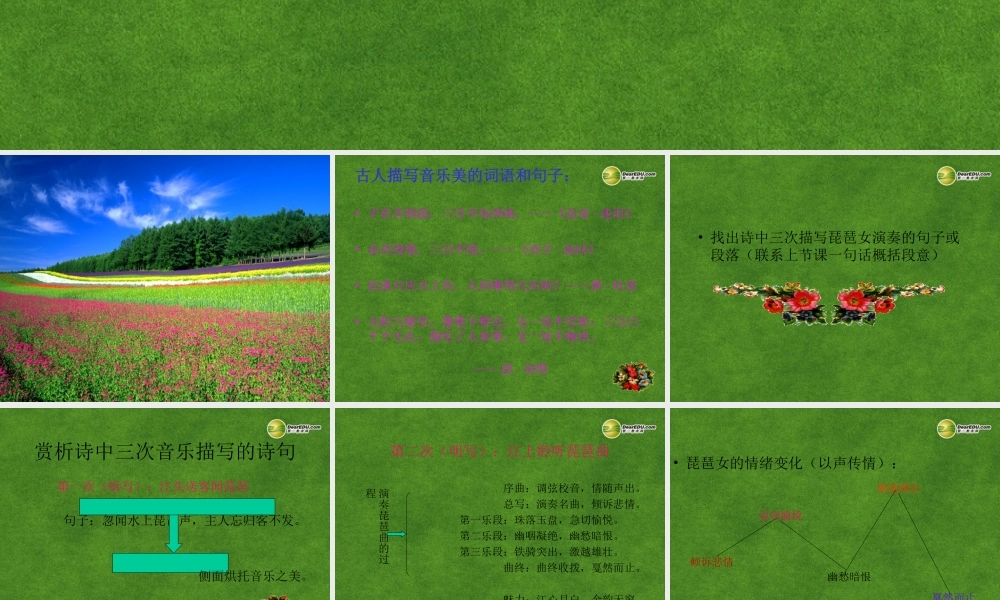 高三语文 琵琶行1复习课件