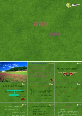 高三语文 琵琶行1复习课件