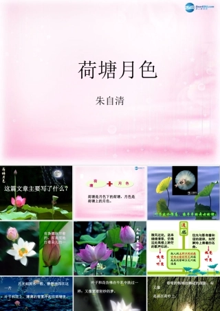 高中语文 荷塘月色1课件 苏教版必修2 课件