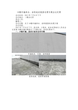 外墙渗水、涂料脱落处理方案