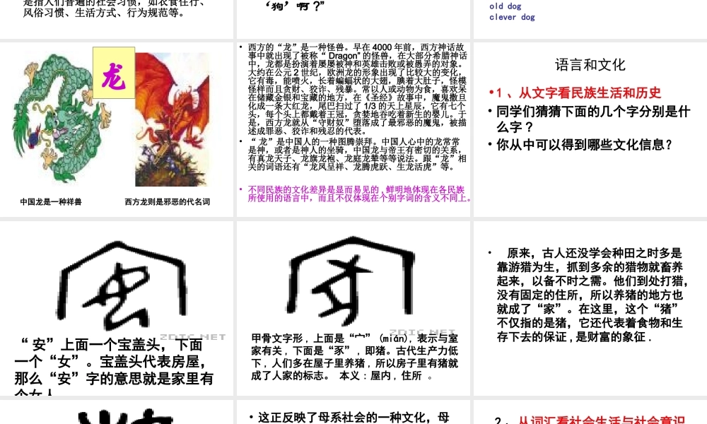 入乡随俗-语言与文化(田)