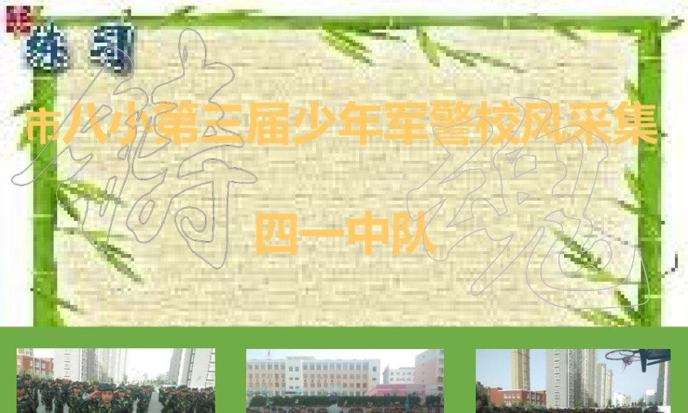 少年军警校风采集