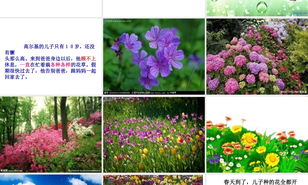 凤建国高尔基和他的儿子