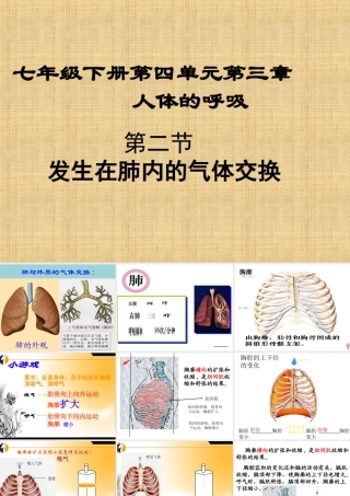 4.3.2发生在肺内的气体交换1