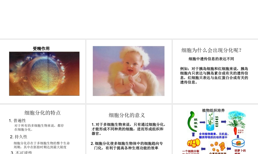 第二节细胞的分化