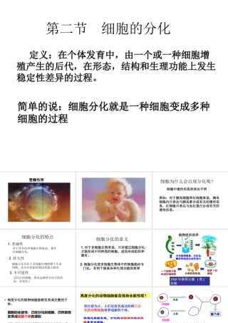 第二节细胞的分化