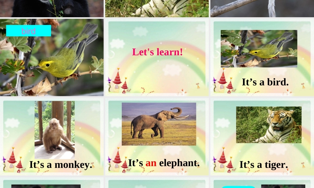 Unit4WeloveanimalsPartB第四课时