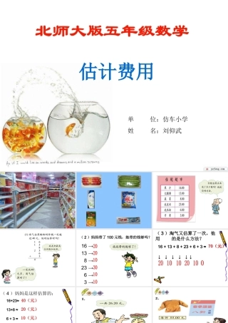 北师大版估计费用