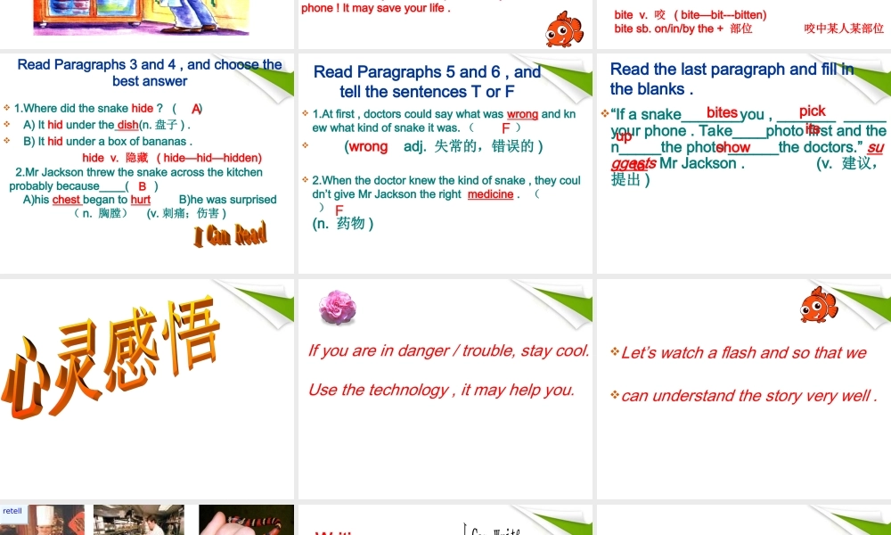 八年级英语下册-课件-外研版