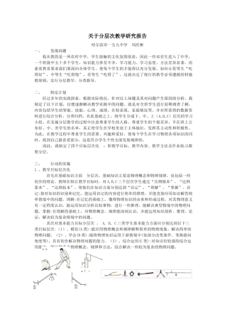 关于分层次教学研究报告