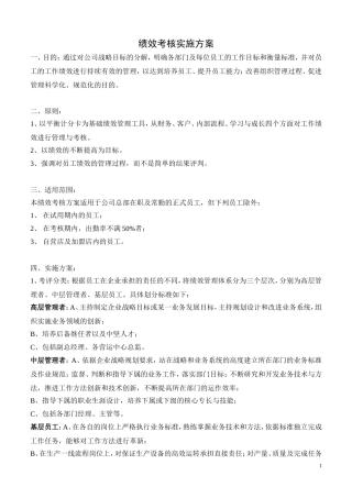 以BSC为基础的绩效管理方案