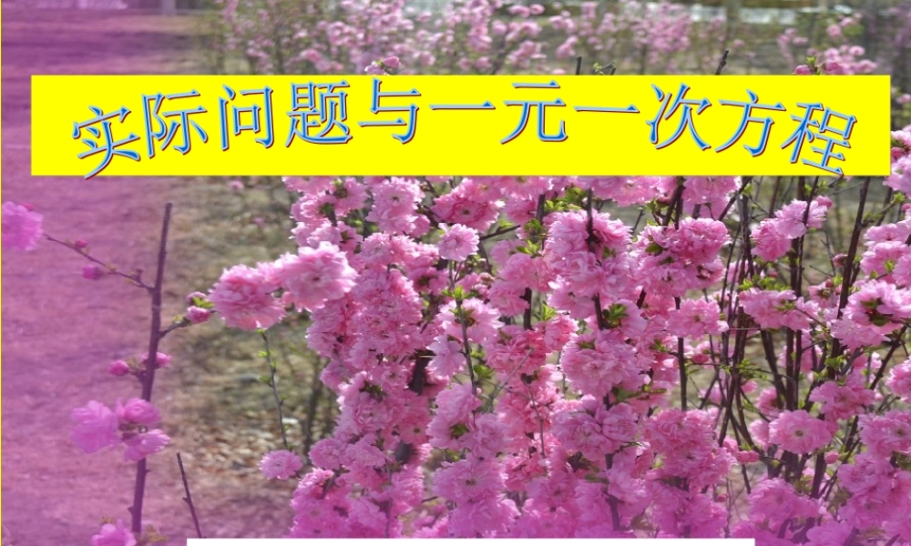 3.4实际问题与一元一次方程