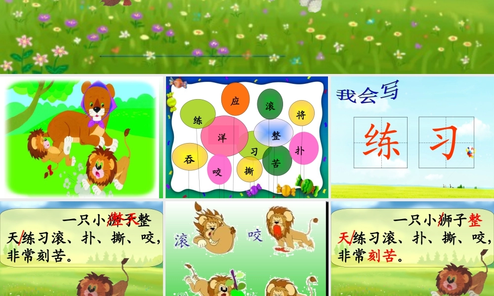 《27两只小狮子》课件