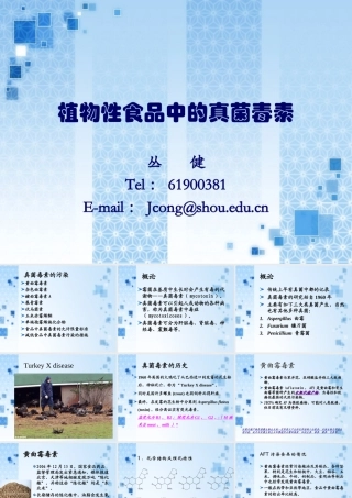 真菌毒素与食品安全