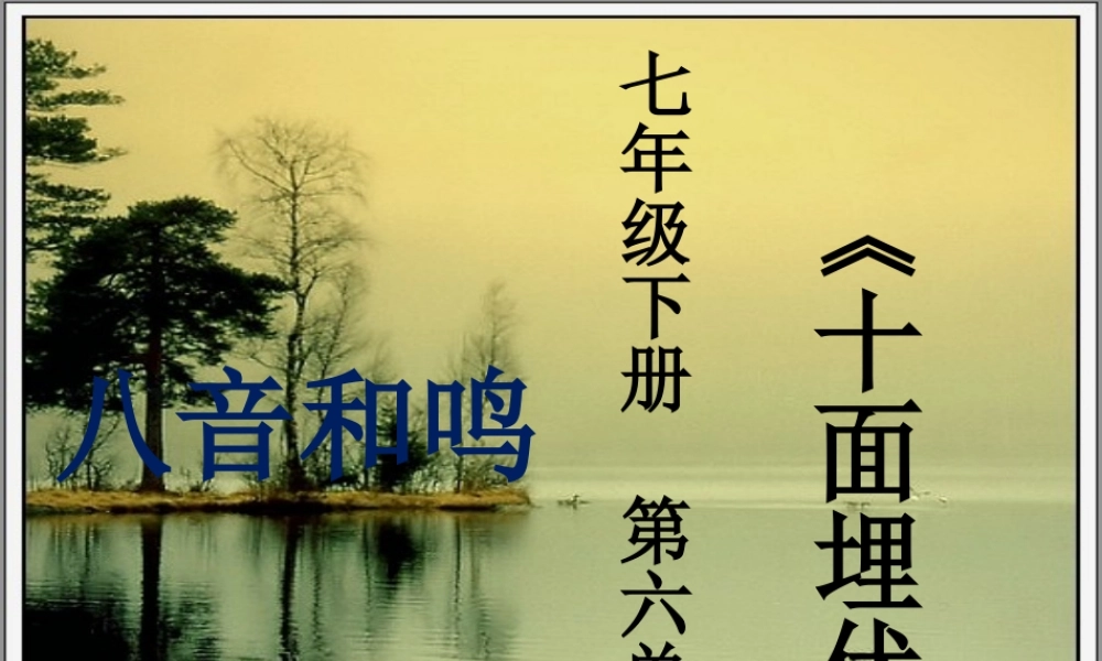 十面埋伏-(2)
