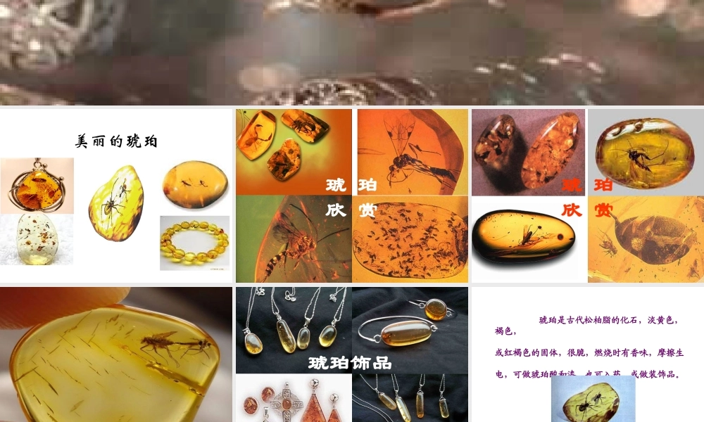 《琥珀》课件(1)