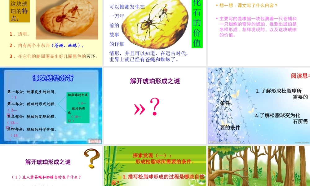 《琥珀》课件(1)