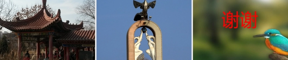 学生展示课件--鸟与艺术