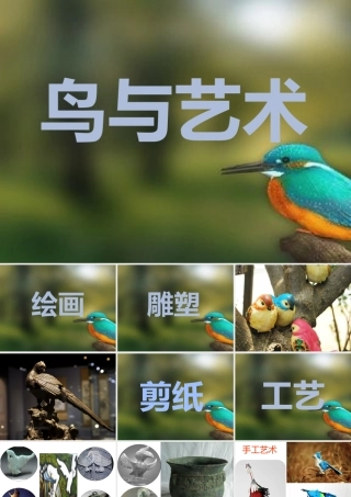 学生展示课件--鸟与艺术