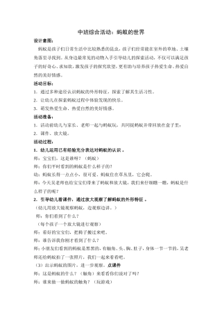 中班综合活动：蚂蚁的世界