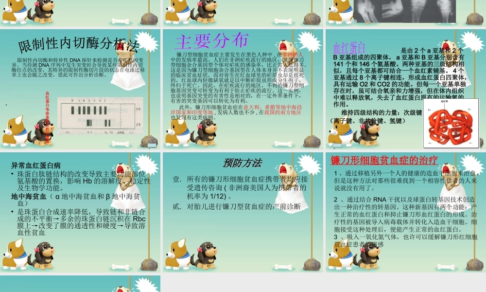 镰刀形细胞贫血症案例分析