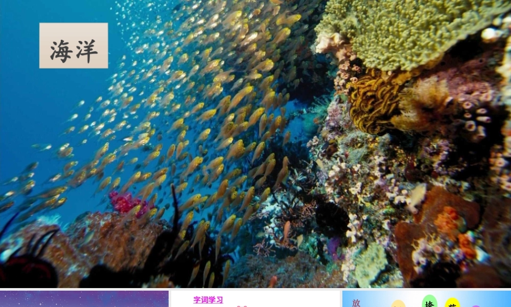 12-海洋是个聚宝盆