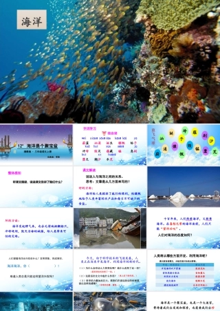 12-海洋是个聚宝盆