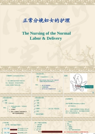 分娩期妇女的护理