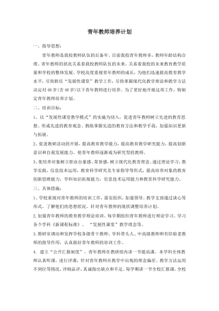 青年教师培养计划